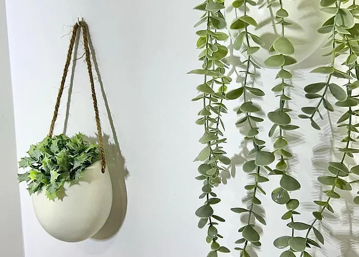 Escapade Ensoleille *